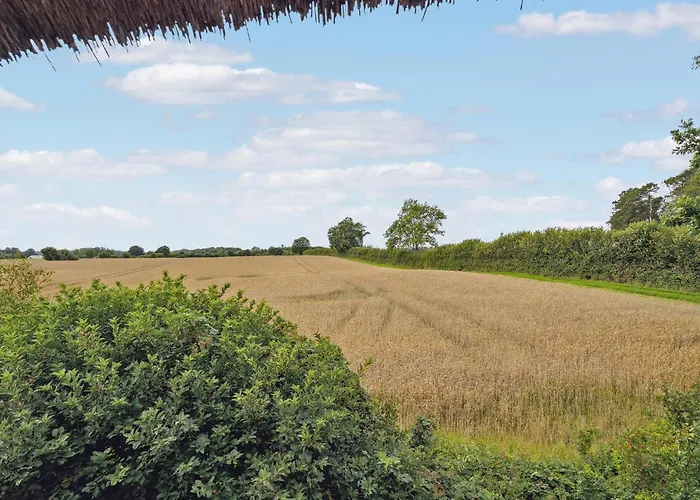 Сasa de vacaciones 2 Bedroom Beautiful In Ringe